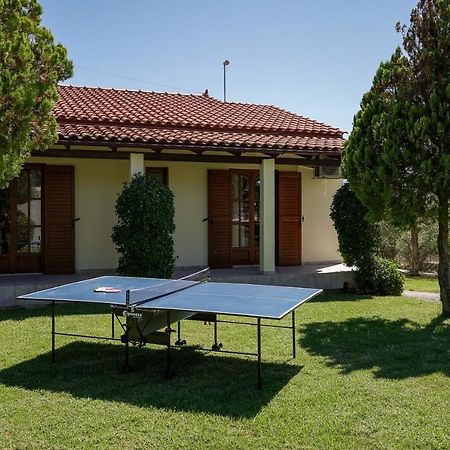 Lefkothea Villas With Large Pool, Bbq & Playground Adelianos Kampos Zewnętrze zdjęcie